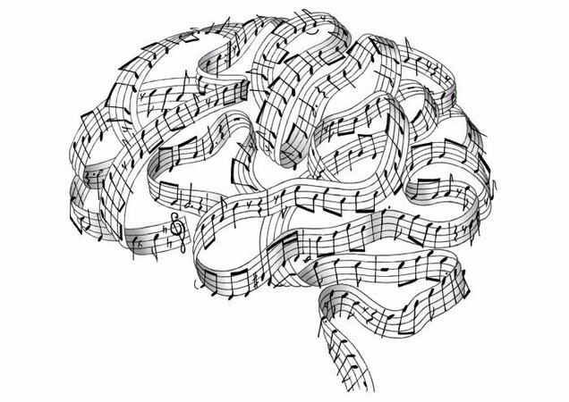 Music and Language in the Brain