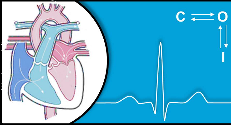 When Your Heart Skips a Beat PAS, Maastricht