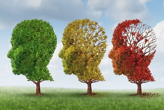 Preventing instead of curing Alzheimer's disease
